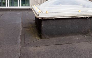 disadvantages of Balmichael flat roofs