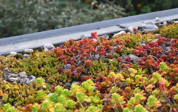 the cost of Balmichael green roof installation