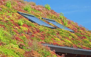 Balmichael living roof systems