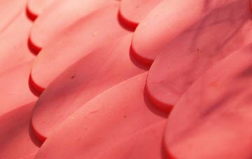 Balmichael plastic roof costs