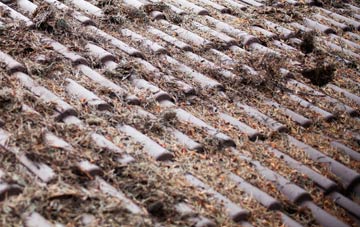 Balmichael roof cleaning companies