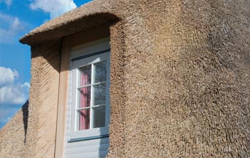 Balmichael thatch roof disadvantages